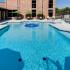 Township 28 Apartments swimming pool and sun deck